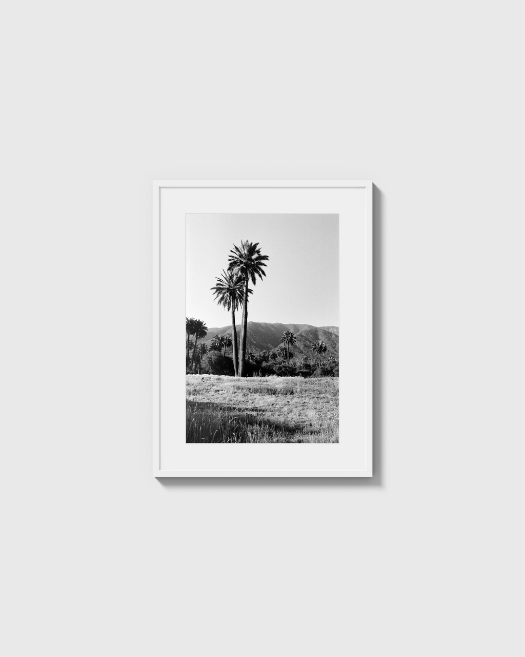 Palmas