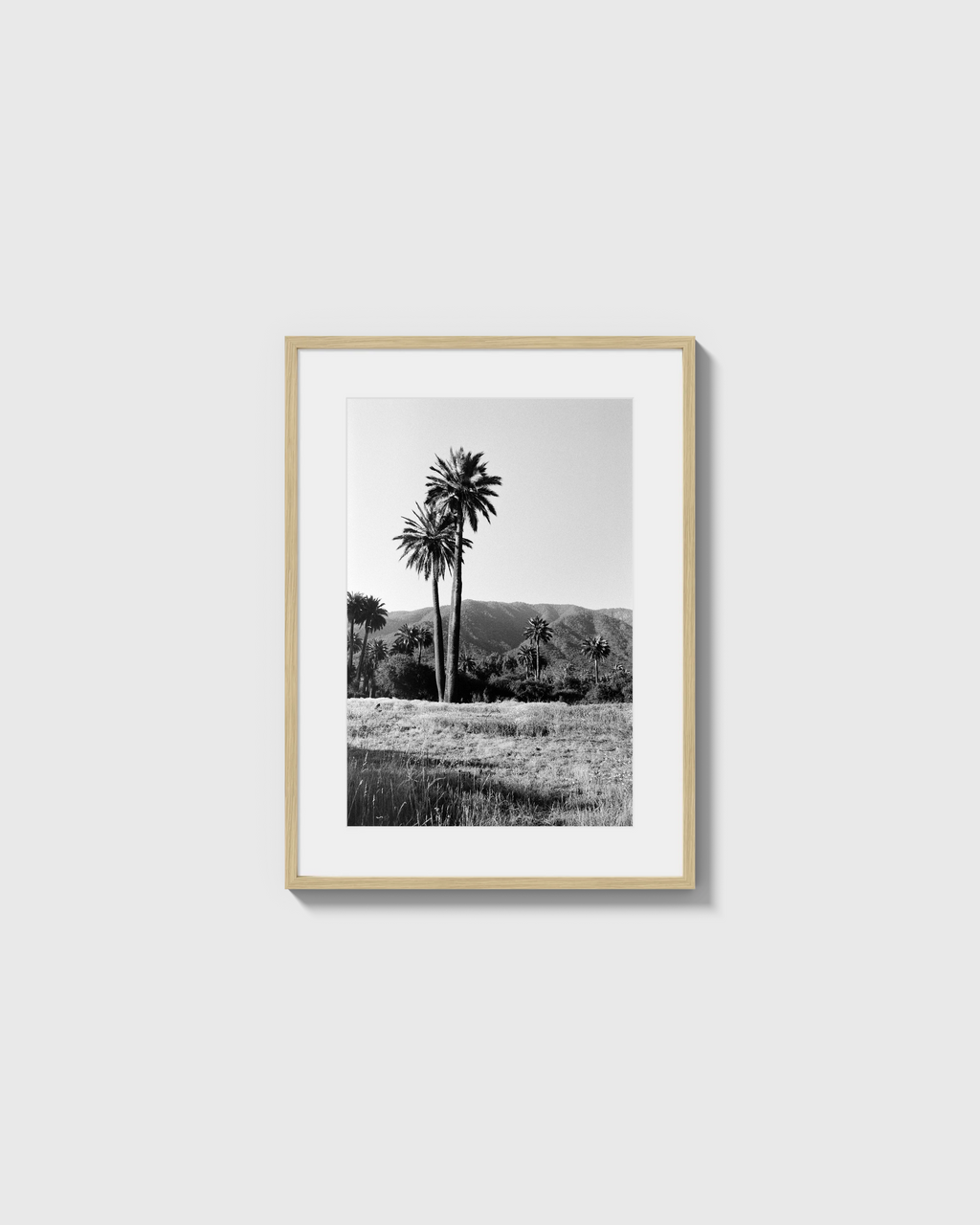 Palmas