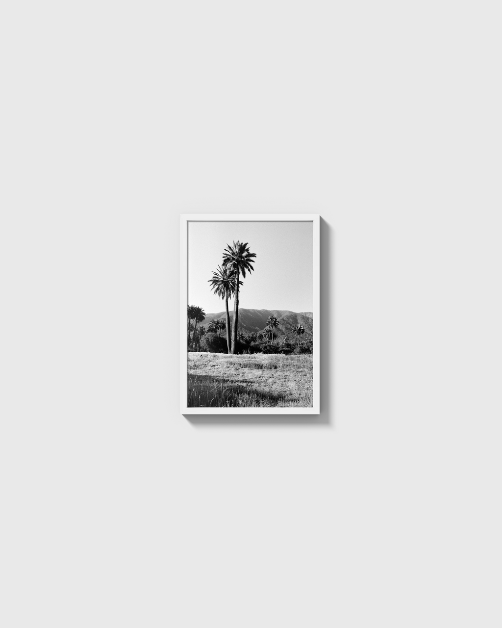Palmas