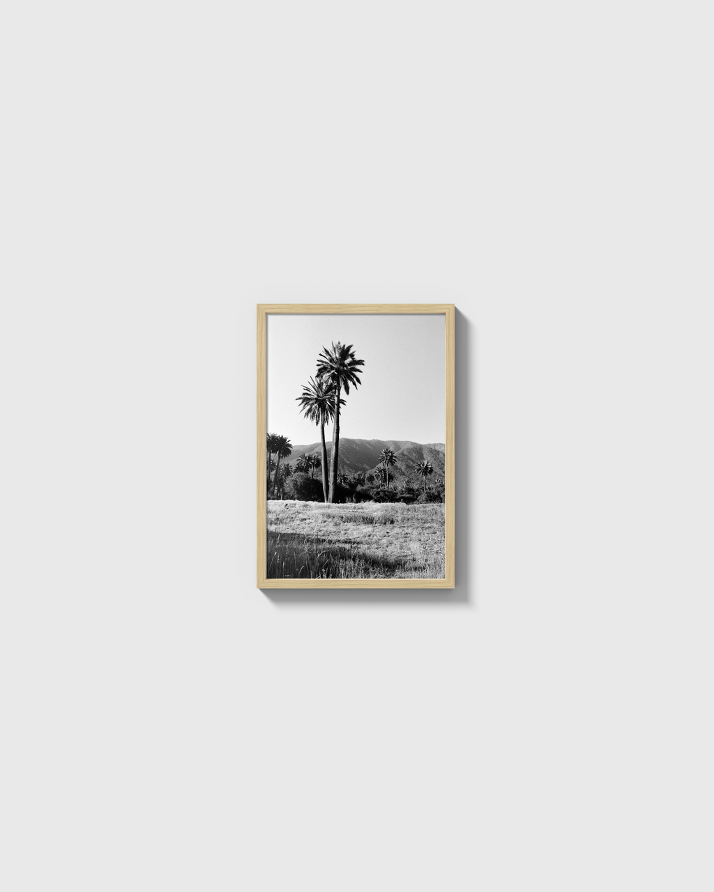 Palmas