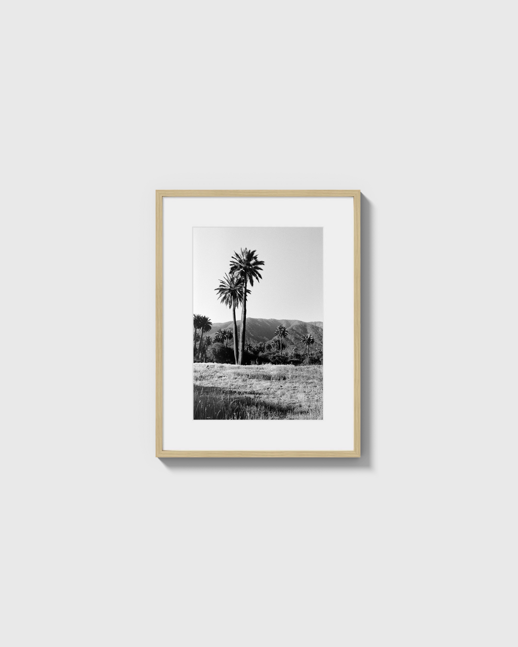 Palmas