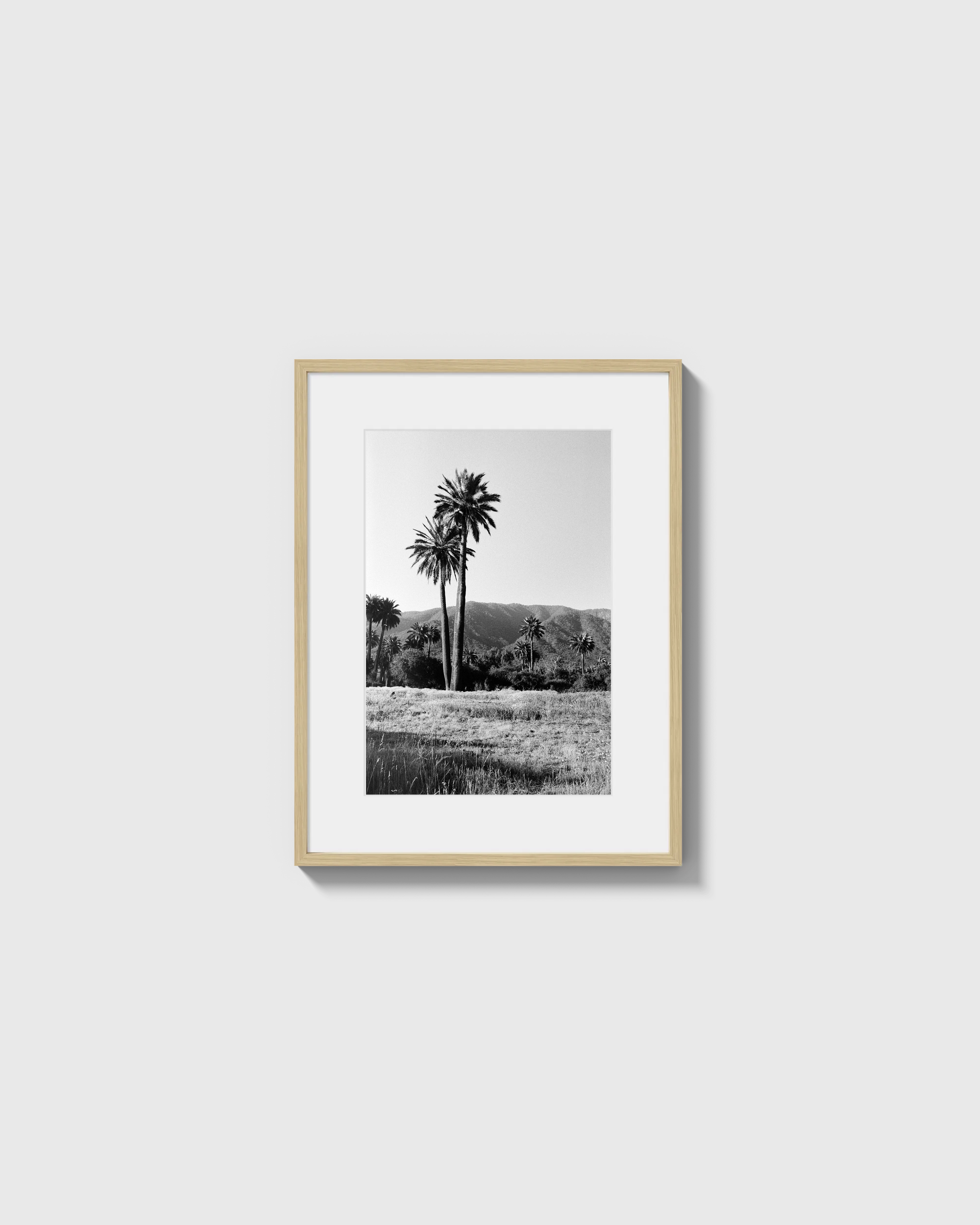 Palmas