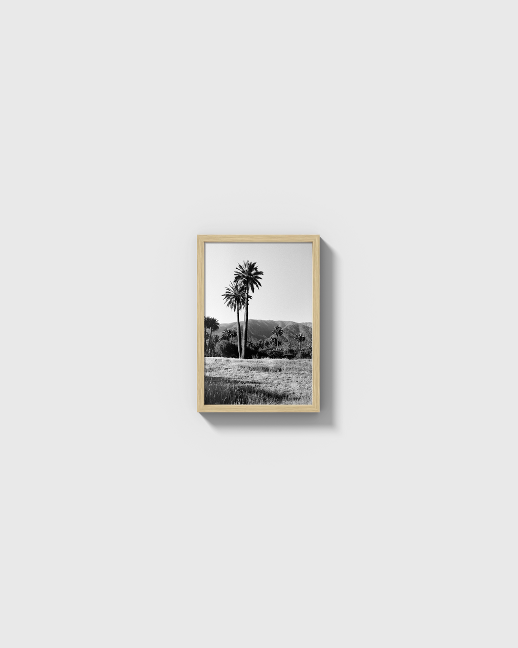 Palmas