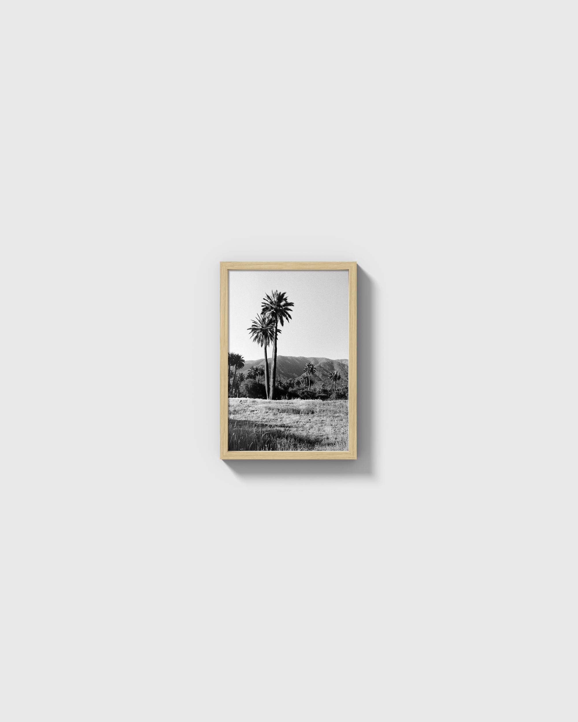 Palmas