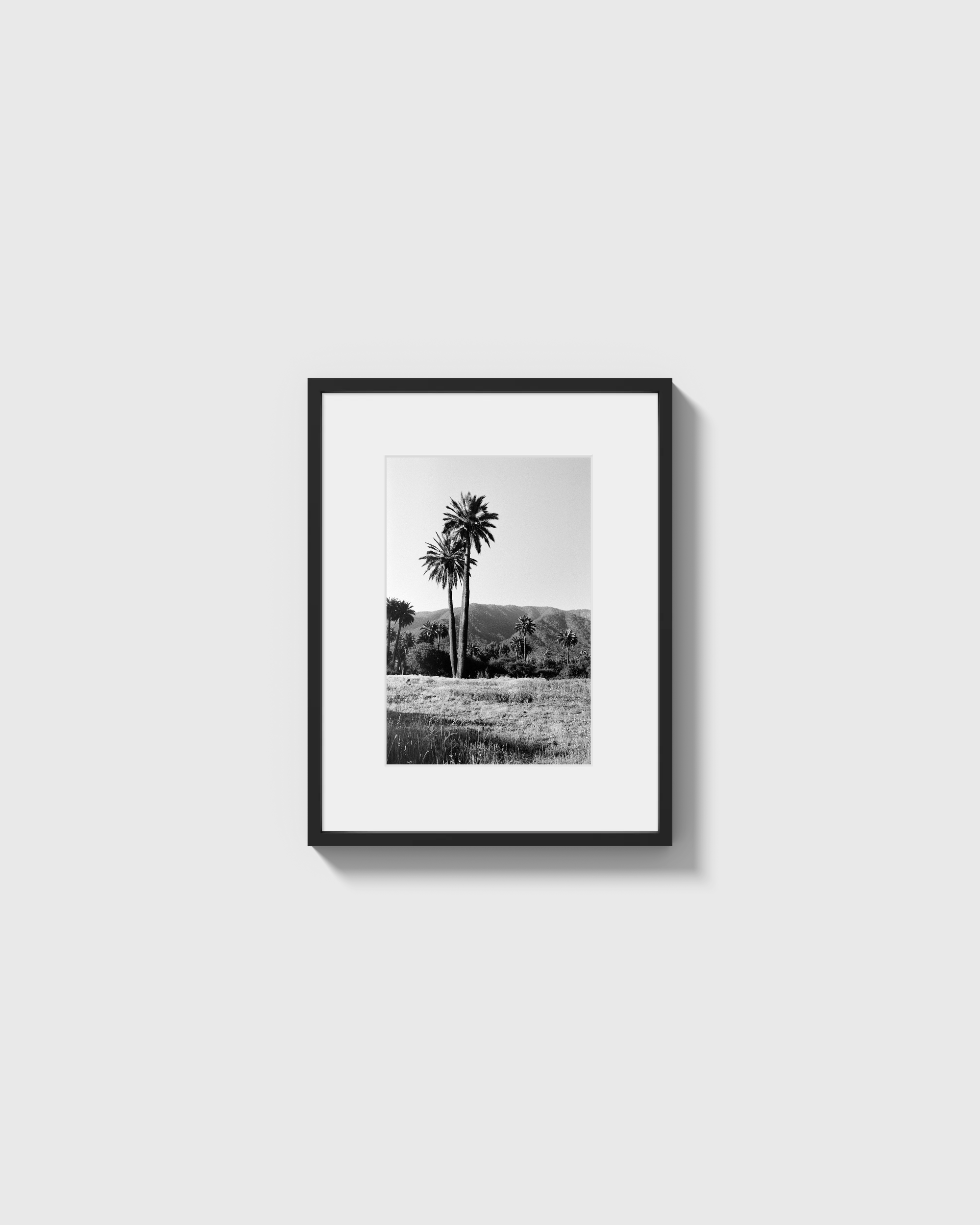 Palmas