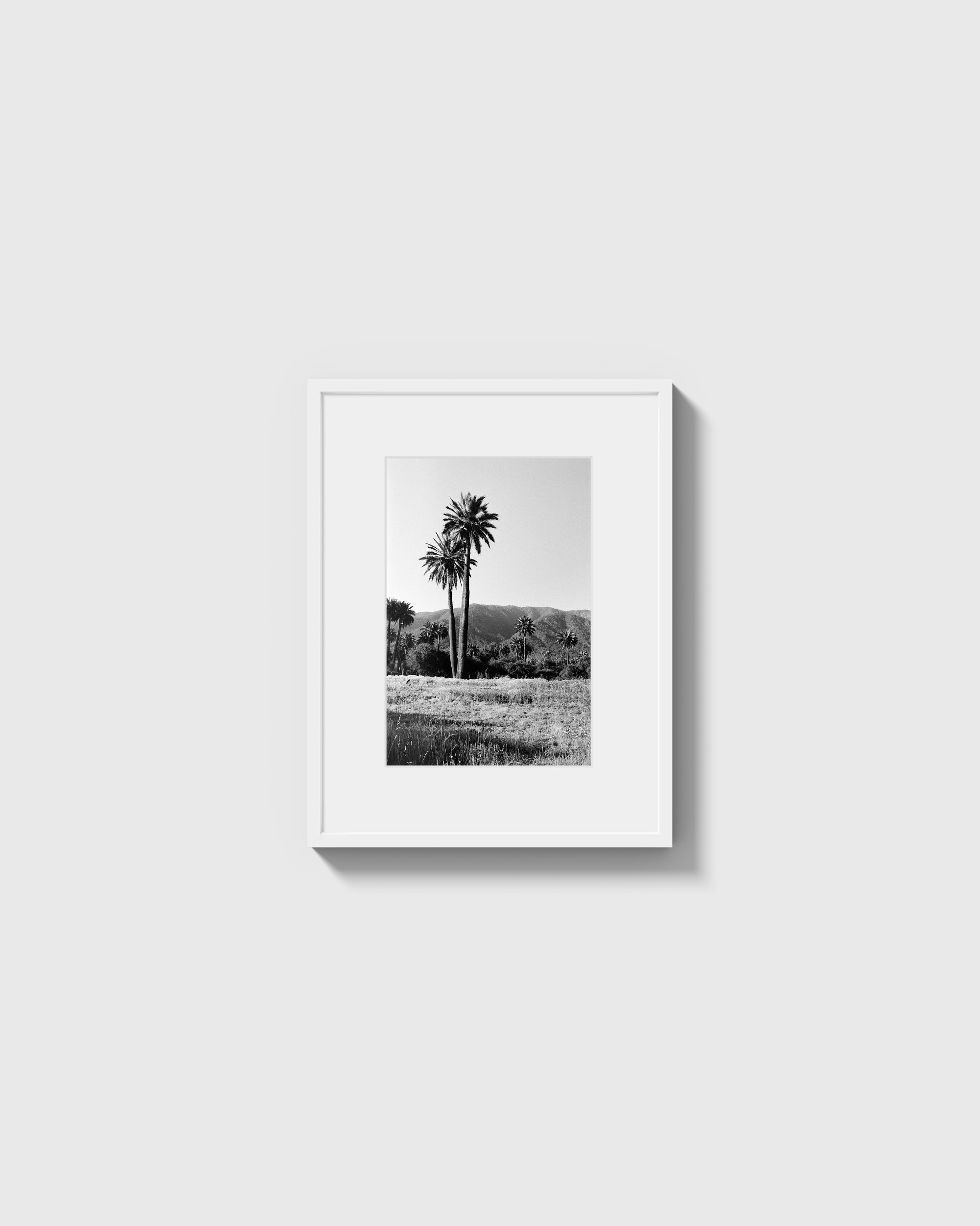 Palmas