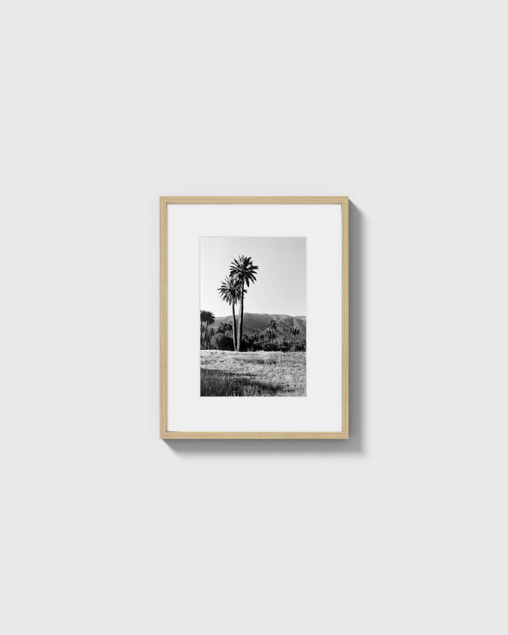 Palmas