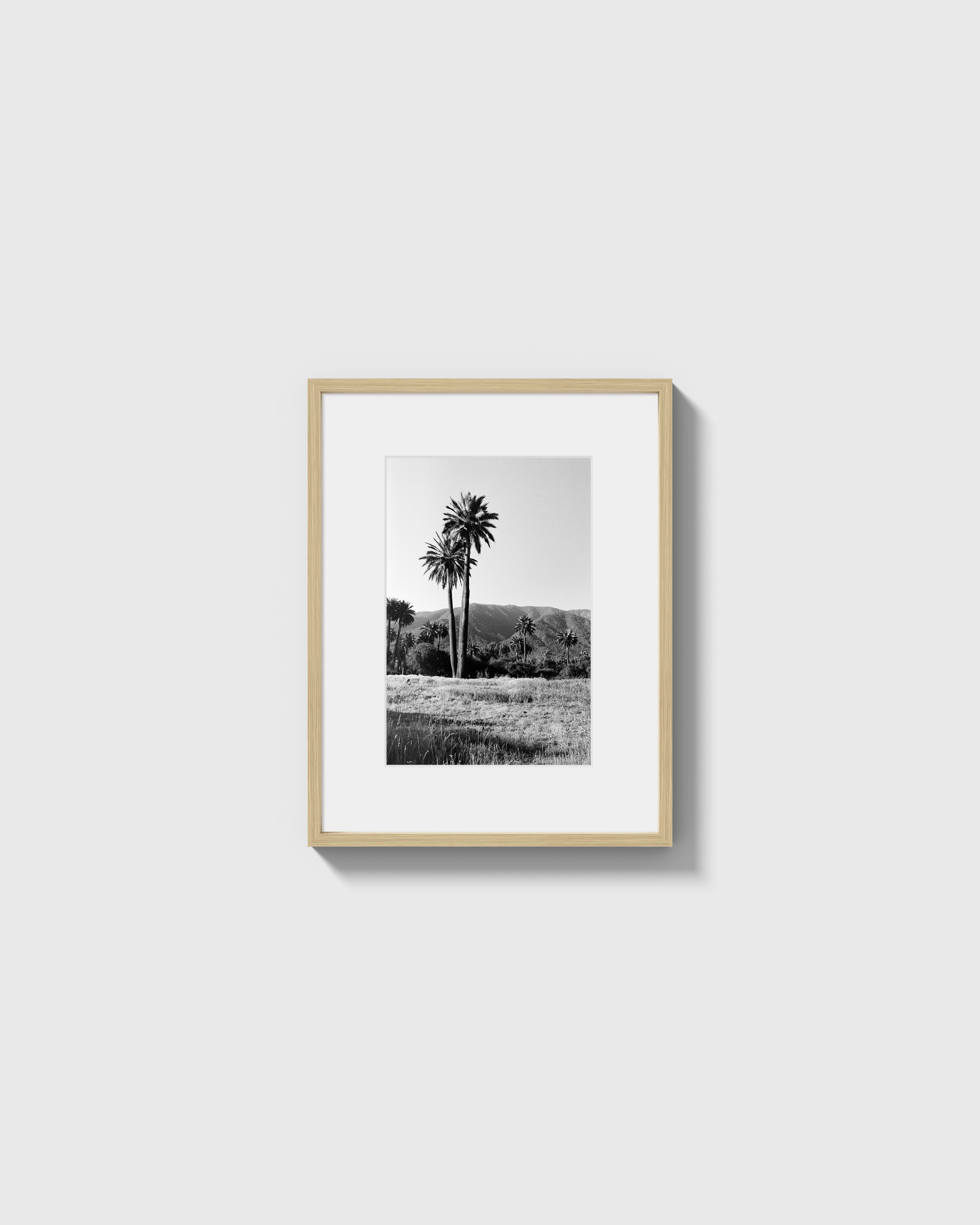 Palmas